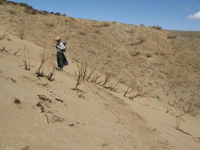 3,000 Miles of Macabi!