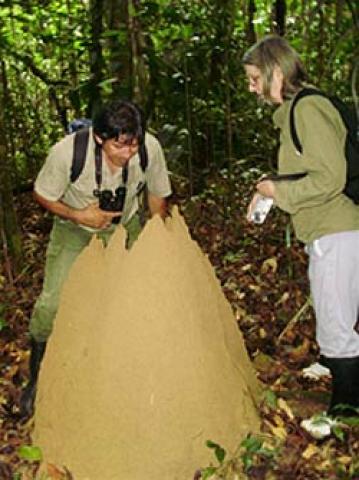 The Macabi Jacket in the Amazon