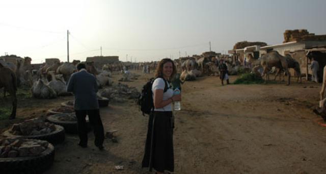 Camel Market in Cairo